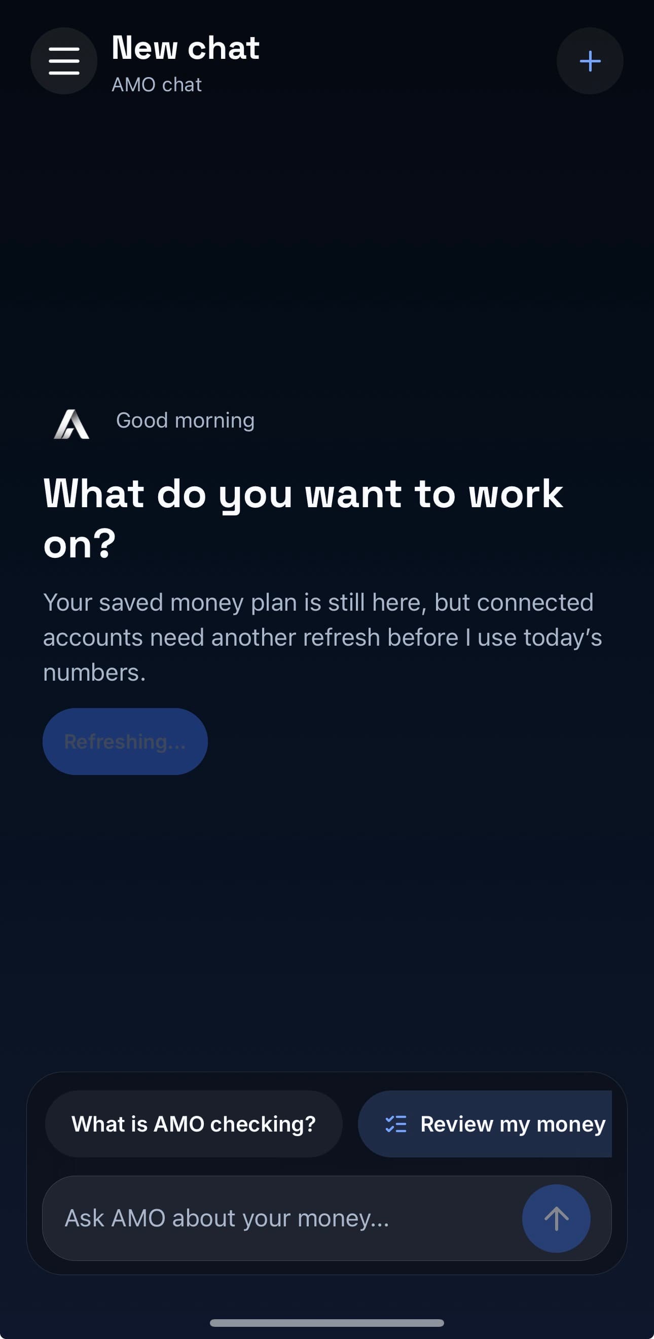 Current AMO native chat screen with review and money-question actions